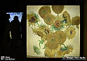 VBS_8048 - Van_Gogh_experience